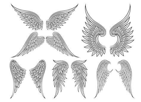 Free Vector | Set of heraldic wings or angel wings drawn black lines. Vector illustration