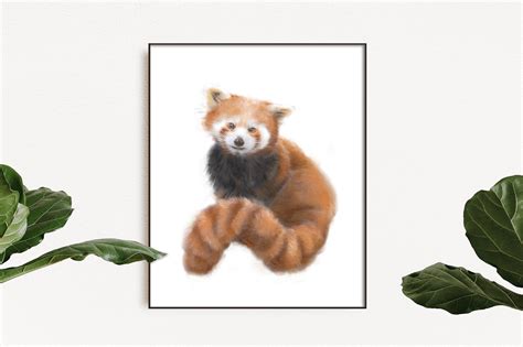 Red Panda Art Print Original Watercolor Painting Nursery - Etsy