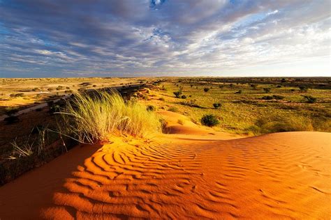 Kgalagadi Dunes Sunset Summer Landscape | Kgalagadi Transfrontier Park ...