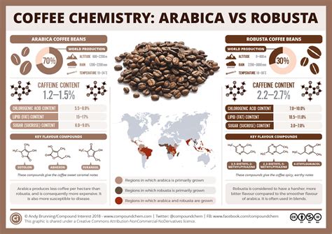 Why Choose Arabica Coffee Beans Tea Coffee