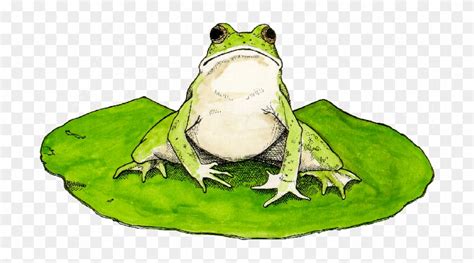 Frog On Lily Pad Clipart - Frogs On Lily Pads - Free Transparent PNG Clipart Images Download