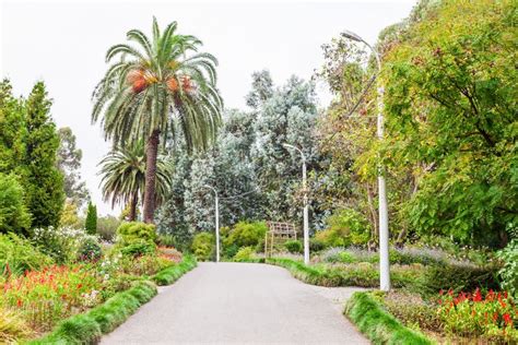 Batumi Botanical Garden stock image. Image of city, green - 114076211