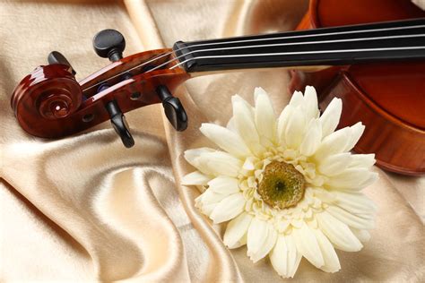 Violin Wallpapers - Wallpaper Cave