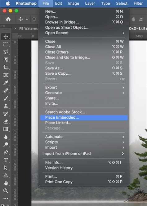 How to Make a Watermark in Photoshop (3-Step Guide)