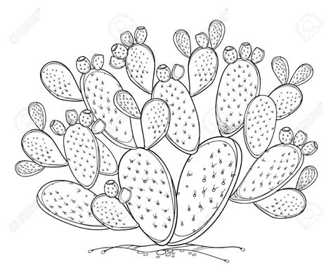 Prickly Pear Cactus Coloring Pages