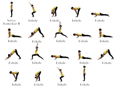 Sun Salutation B || Surya Namaskar B | Surya namaskar, Sun salutation b ...