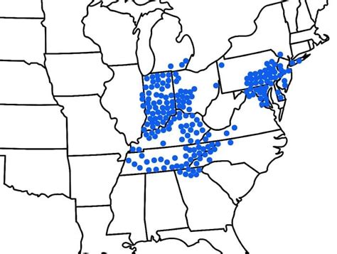 2021 cicadas: 13 facts about the Brood X cicada invasion, maps, when they will emerge - nj.com