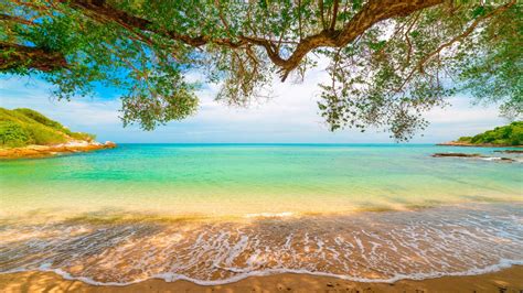 Sandy Beach Lagoon Tropical Landscape Shore Tropics 4K HD Wallpapers ...