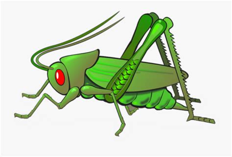 #belalang - Insect Cricket Clipart , Free Transparent Clipart - ClipartKey