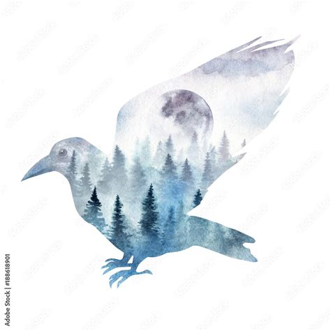 Double exposure composition of a raven with the spruce forest and the rising moon inside. The ...