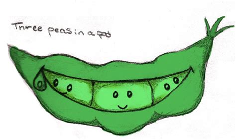 Pea Pod Drawing | Free download on ClipArtMag