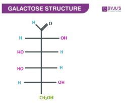 Galactose Formula - Definition, Formula, Structure And Properties