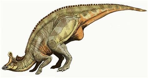 Lambeosaurus | Paleo Media Wiki | Fandom