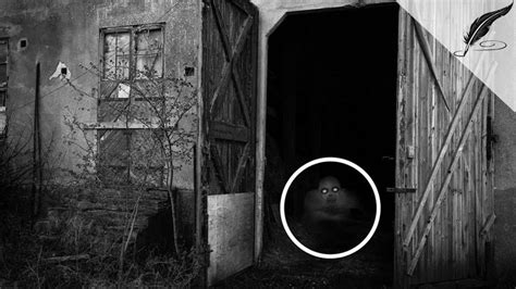 1000+ images about Ghost on Pinterest | Ghost images, Scary ghost pictures and Shadow people