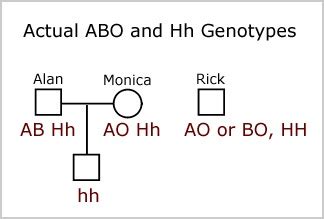 The Hh blood group - Blood Groups and Red Cell Antigens - NCBI Bookshelf