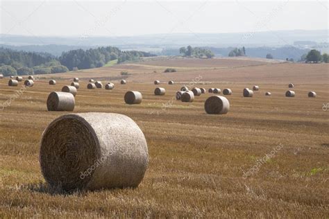 Straw bales Stock Photo by ©Taborsky 52744153