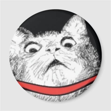 Surprised Cat Gasp Meme - Magnet | Zazzle.com