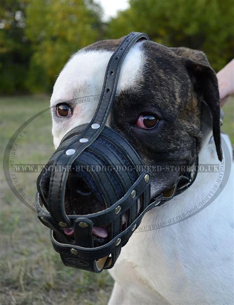 Mesh Dog Muzzle for American Bulldog | Bulldog Muzzle