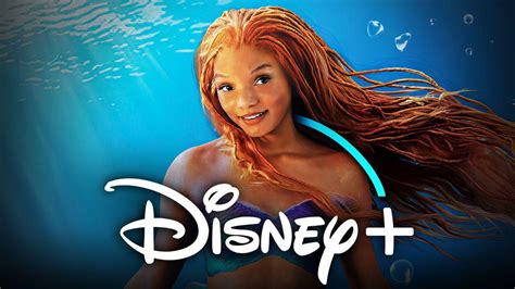 Little Mermaid 2024 Streaming Disney Plus - Nanni Maryann