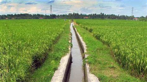 Jenis Saluran Irigasi: Pengertian, Fungsi dan Penerapannya