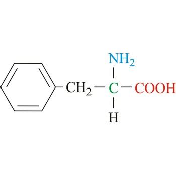 Phenylalanine @ Chemistry Dictionary & Glossary