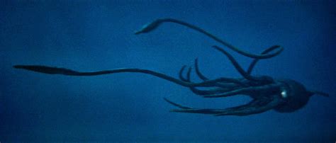 Giant Squid (20,000 Leagues Under the sea) | Wickedpedia | FANDOM powered by Wikia