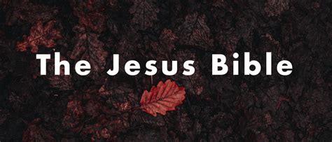 The Jesus Bible Review | conversant faith