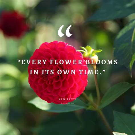 Flowers Quotes | Best Flower Site