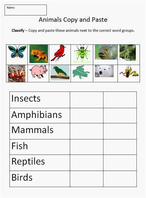 Animal Characteristics Worksheet First Grade