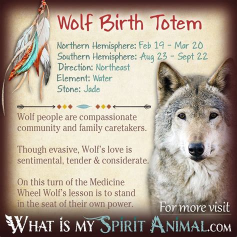 Native American Zodiac & Astrology | Birth Signs & Totems