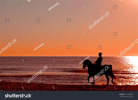 Horse Riding On The Beach At Sunset Stock Photo 114284887 : Shutterstock