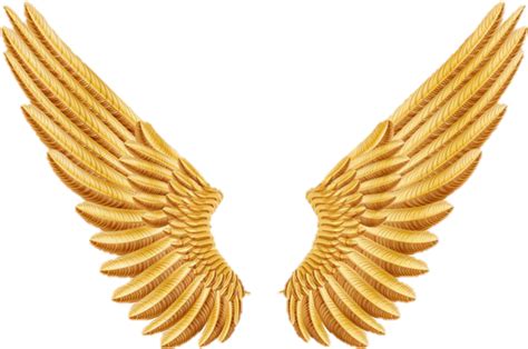 Golden Angel Wings Clip Art