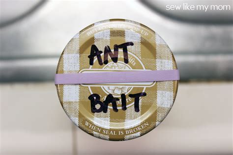 DIY Ant Bait | Sew Like My Mom