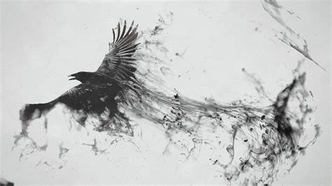 Raven Bird Art, HD Artist, 4k Wallpapers, Images, Backgrounds, Photos and Pictures