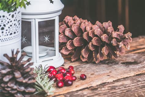 Free Images : conifer cone, tree, plant, pine family, natural material, fir, christmas ...