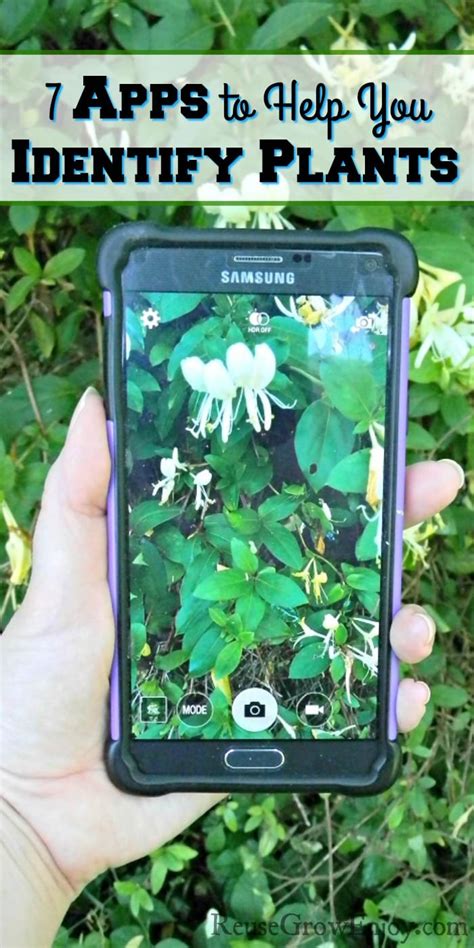 Plant Identification App Free Uk : 9 Best Free Plant Identification Apps For Android & iOS ...