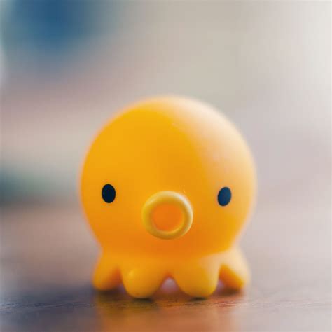 Cute Octopus Wallpaper (43+ images)