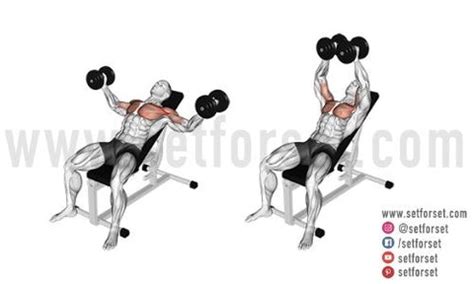 15 Best Dumbbell Chest Exercises for Hypertrophy & Definition - SET FOR SET