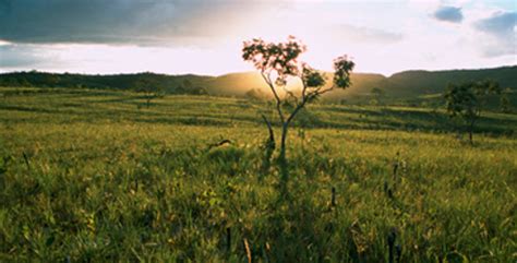 Brazil: Ecosystems