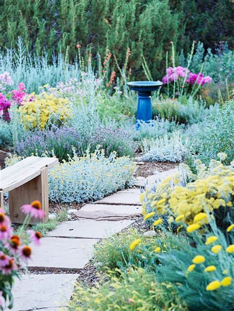 10 No Fail Drought Tolerant Perennials for Low Water Gardens | The Garden Glove