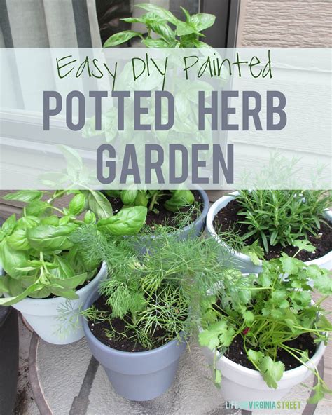 DIY Painted Potted Herb Garden - Life On Virginia Street