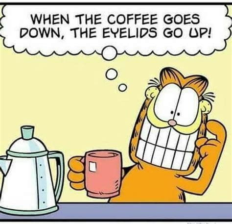 Coffee Humor To Start Your Day with Funny Images, Quotes, and Memes