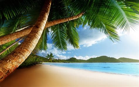 Free Caribbean Beach Wallpapers - Wallpaper Cave