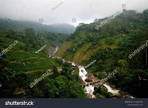 Attukad Waterfall Pallivasal Munnar Stock Photo 2119881494 | Shutterstock