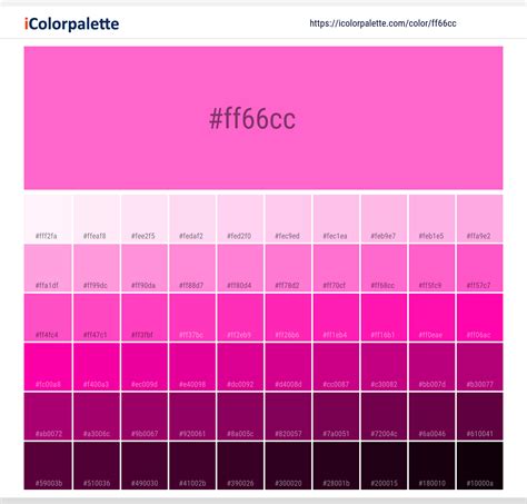 Rose Pink information | Hsl | Rgb | Pantone