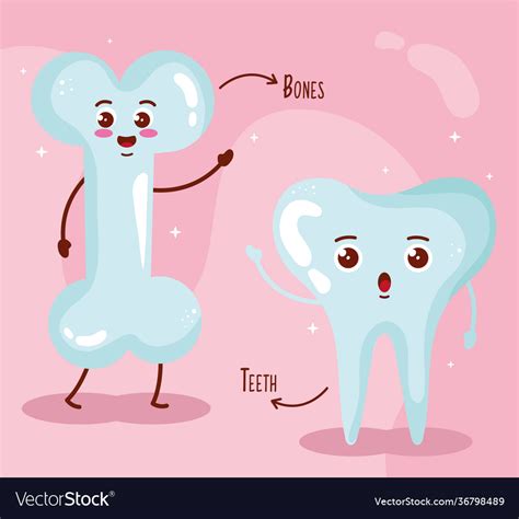 Bones and tooth Royalty Free Vector Image - VectorStock