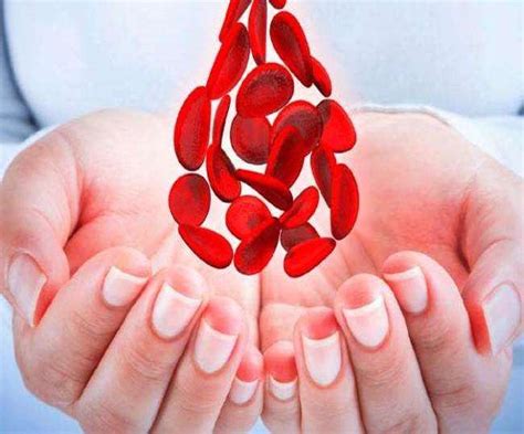 Haemophilia Symptoms: शरीर में ये बदलाव हीमोफीलिया के हैं लक्षण - These ...