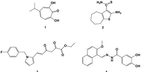 Examples of different RNase H inhibitors: -thujaplicinol (1),... | Download Scientific Diagram