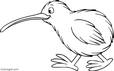 Kiwi Bird Coloring Pages (21 Free Printables) - ColoringAll