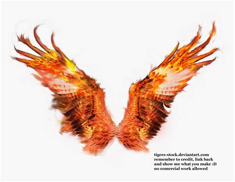 Phoenix Wings Drawing At - Phoenix Wings Transparent Background, HD Png Download , Transparent ...